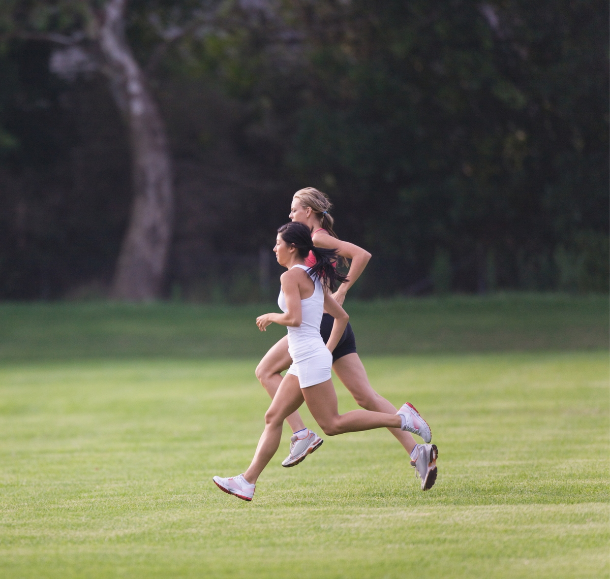 Fitness Performance Testing